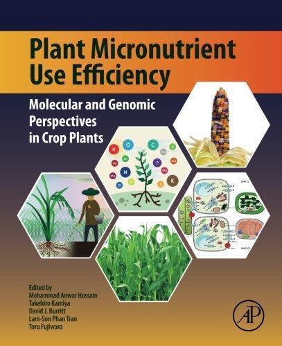 Plant Micronutrient Use Efficiency Molecular And Genomic Perspectives In Crop Plants (PDF Instant Download)