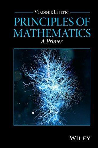Principles Of Mathematics A Primer (PDF Instant Download)