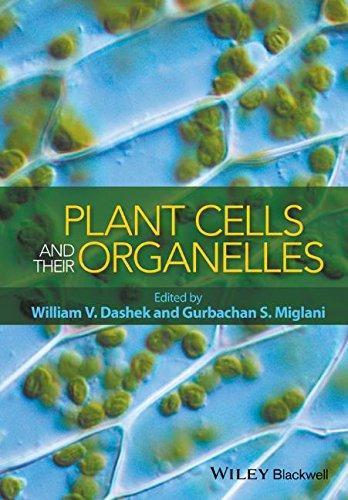 Plant Cells And Their Organelles (PDF Instant Download)