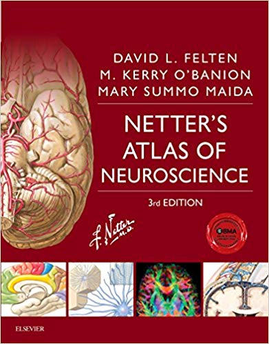 Netter's Atlas of Neuroscience 3rd Edition (PDF Instant Download)