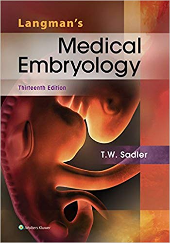 Langman's Medical Embryology 13th Edition (PDF Instant Download)