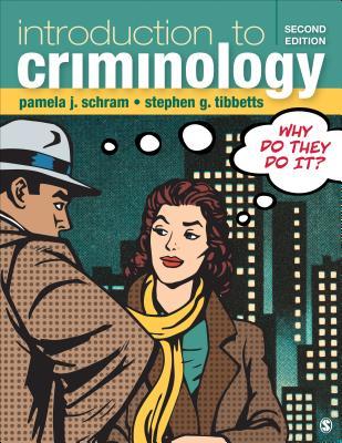 Introduction To Criminology Why Do They Do It 2Nd Edition (PDF Instant Download)