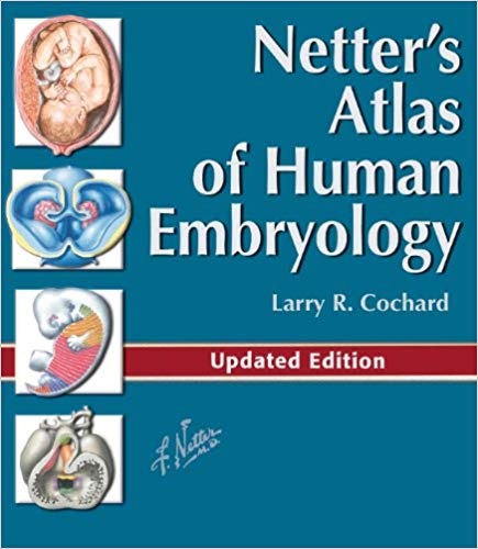 Netter's Atlas of Human Embryology: Updated Edition (PDF Instant Download)