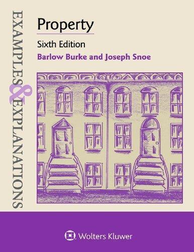 Property (Examples & Explanations) 6th Edition (PDF Instant Download)