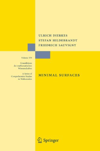 Minimal Surfaces 2 Edition (PDF Instant Download)