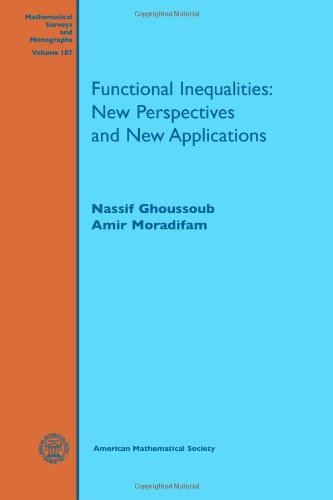 Functional inequalities: new perspectives and new applications  Edition (PDF Instant Download)