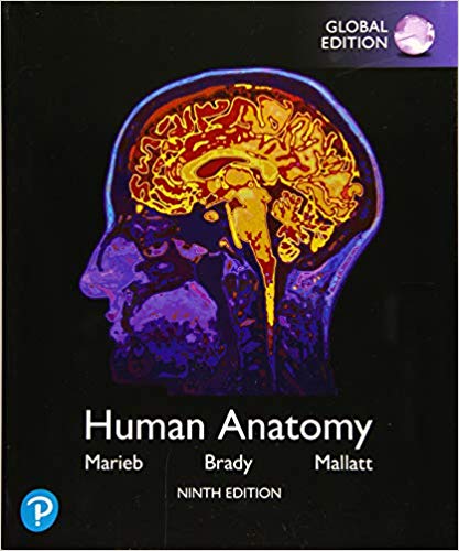 Human Anatomy, Global Edition 9th Edition (PDF Instant Download)
