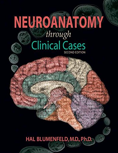 Neuroanatomy Through Clinical Cases (PDF Instant Download)
