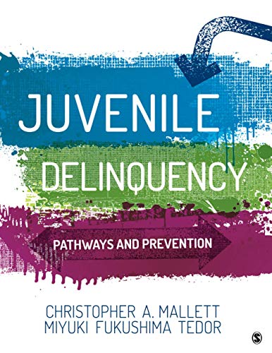 Juvenile Delinquency: Pathways and Prevention – 1st Edition (PDF Instant Download)