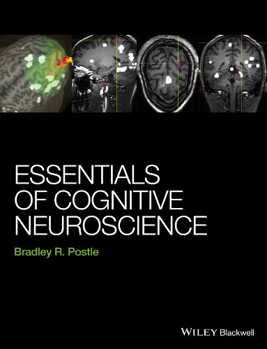 Essentials of Cognitive Neuroscience – 1st Edition (PDF Instant Download)
