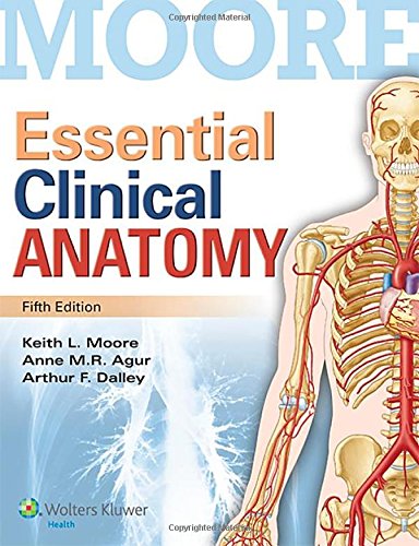 Essential clinical anatomy – 5th Edition (PDF Instant Download)