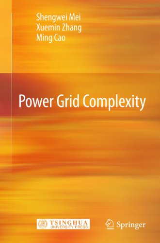 Power Grid Complexity   1st Edition. Edition (PDF Instant Download)