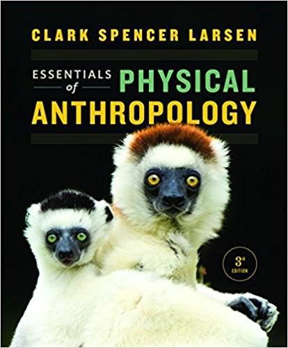 Essentials of Physical Anthropology (Third Edition) (PDF Instant Download)