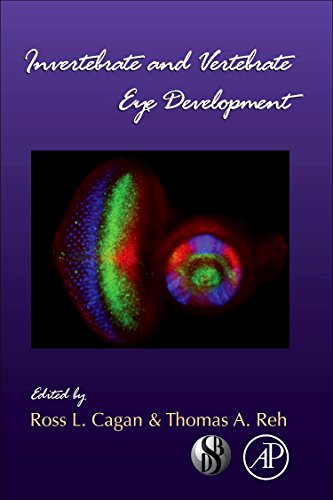 Invertebrate and Vertebrate Eye Development 1 Edition (PDF Instant Download)