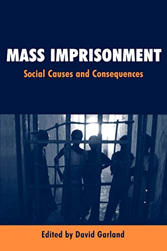 Mass Imprisonment: Social Causes and Consequences 1 Edition (PDF Instant Download)