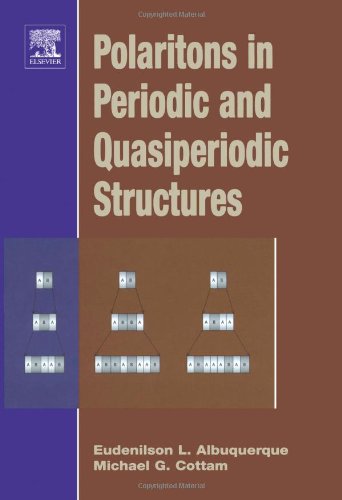 Polaritons in Periodic and Quasiperiodic Structures 1 Edition (PDF Instant Download)