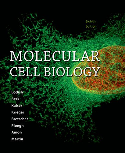 Molecular Cell Biology (8th Edition) (PDF Instant Download) Molecular Cell Biology (8th Edition) (PDF Instant Download)