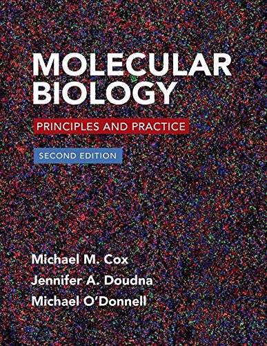 Molecular Biology 2nd Edition (PDF Instant Download)