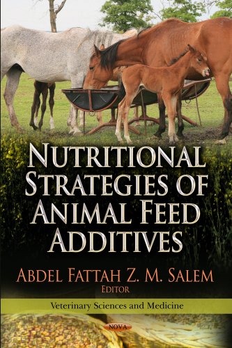 Nutritional Strategies of Animal Feed Additives 1 Edition (PDF Instant Download)
