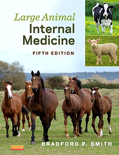 Large Animal Internal Medicine (5th Edition) (PDF Instant Download)