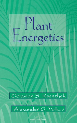 Plant Energetics 1st Edition (PDF Instant Download)