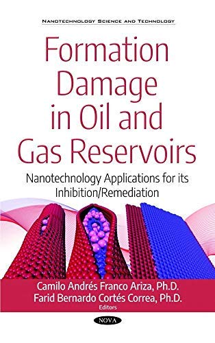 Formation Damage in Oil and Gas Reservoirs: Nanotechnology Applications for Its Inhibition/Remediation (Nanotechnology Science and Technology: ... Technologies, Regulations and Safety)  Edition (PDF Instant Download)