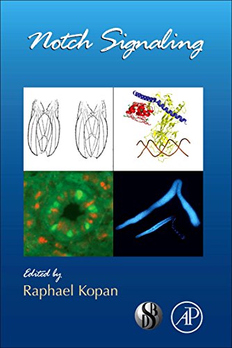 Notch Signaling 1 Edition (PDF Instant Download)