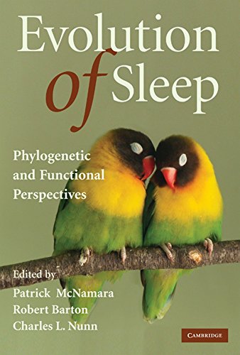 Evolution of sleep: Phylogenetic and functional perspectives  Edition (PDF Instant Download)