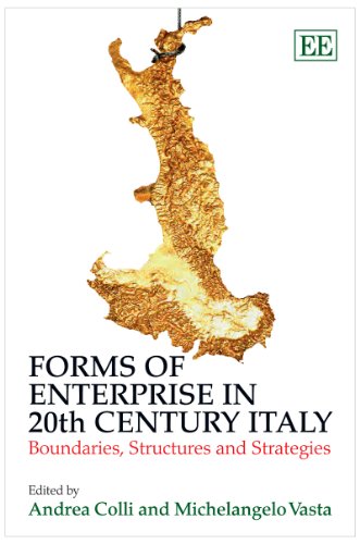 Forms of Enterprise in 20th Century Italy: Boundaries, Structures and Strategies  Edition (PDF Instant Download)