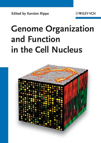 Genome Organization And Function In The Cell Nucleus 1 Edition (PDF Instant Download)