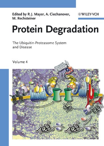 Protein Degradation, Volume 4: The Ubiquitin-Proteasome System and Disease 1 Edition (PDF Instant Download)