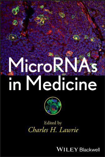 MicroRNAs in Medicine 1 Edition (PDF Instant Download)
