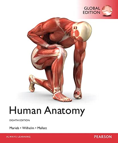 Human Anatomy, 8th edition by Marieb, Wilhelm and Mallatt (PDF Instant Download)