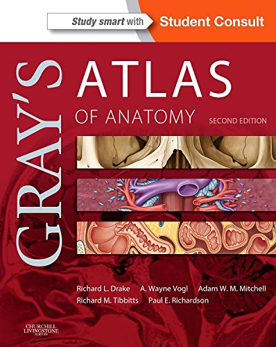 Gray?s Atlas of Anatomy (2nd Edition) (PDF Instant Download)