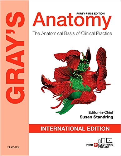 Gray?s Anatomy: The Anatomical Basis of Clinical Practice 41st Edition (PDF Instant Download)