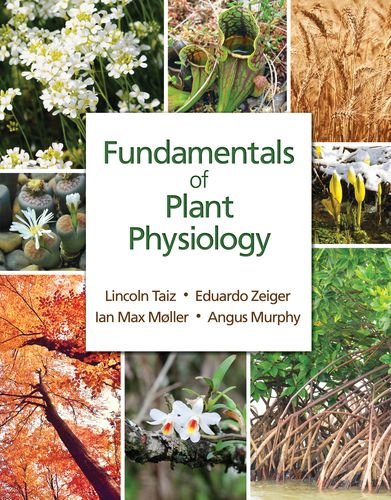 Fundamentals of Plant Physiology (PDF Instant Download)
