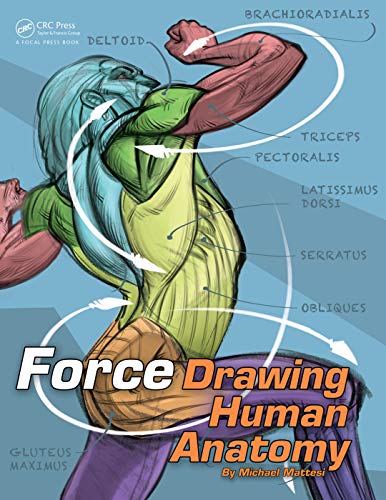 FORCE: Drawing Human Anatomy (PDF Instant Download)