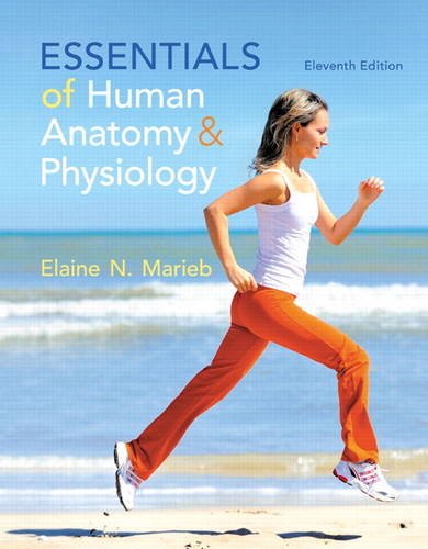 Essentials of Human Anatomy & Physiology (11th Edition) (PDF Instant Download)