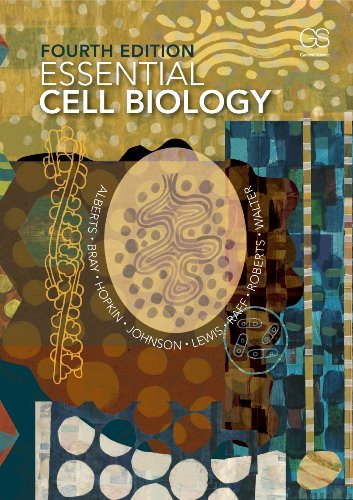 Essential Cell Biology, 4th Fourth Edition by Alberts and Roberts (PDF Instant Download)