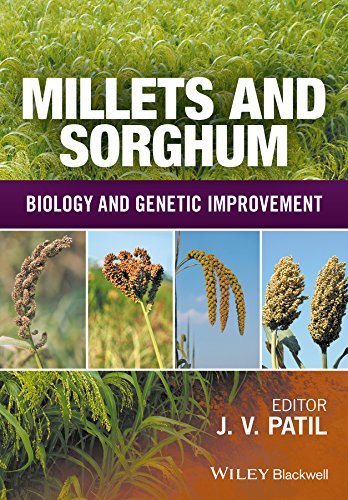 Millets and Sorghum: Biology and Genetic Improvement 1 Edition (PDF Instant Download)