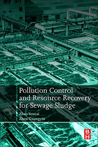 Pollution Control and Resource Recovery for Sewage Sludge 1 Edition (PDF Instant Download)
