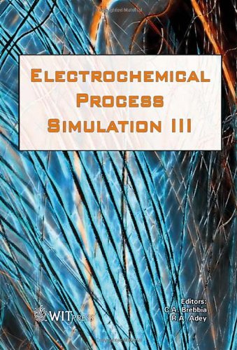 Electrochemical Process Simulation III  1 Edition (PDF Instant Download)