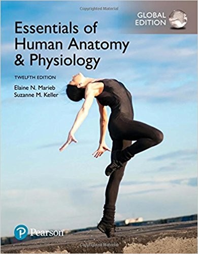 Essentials of Human Anatomy & Physiology 12th Global Edition (PDF Instant Download)