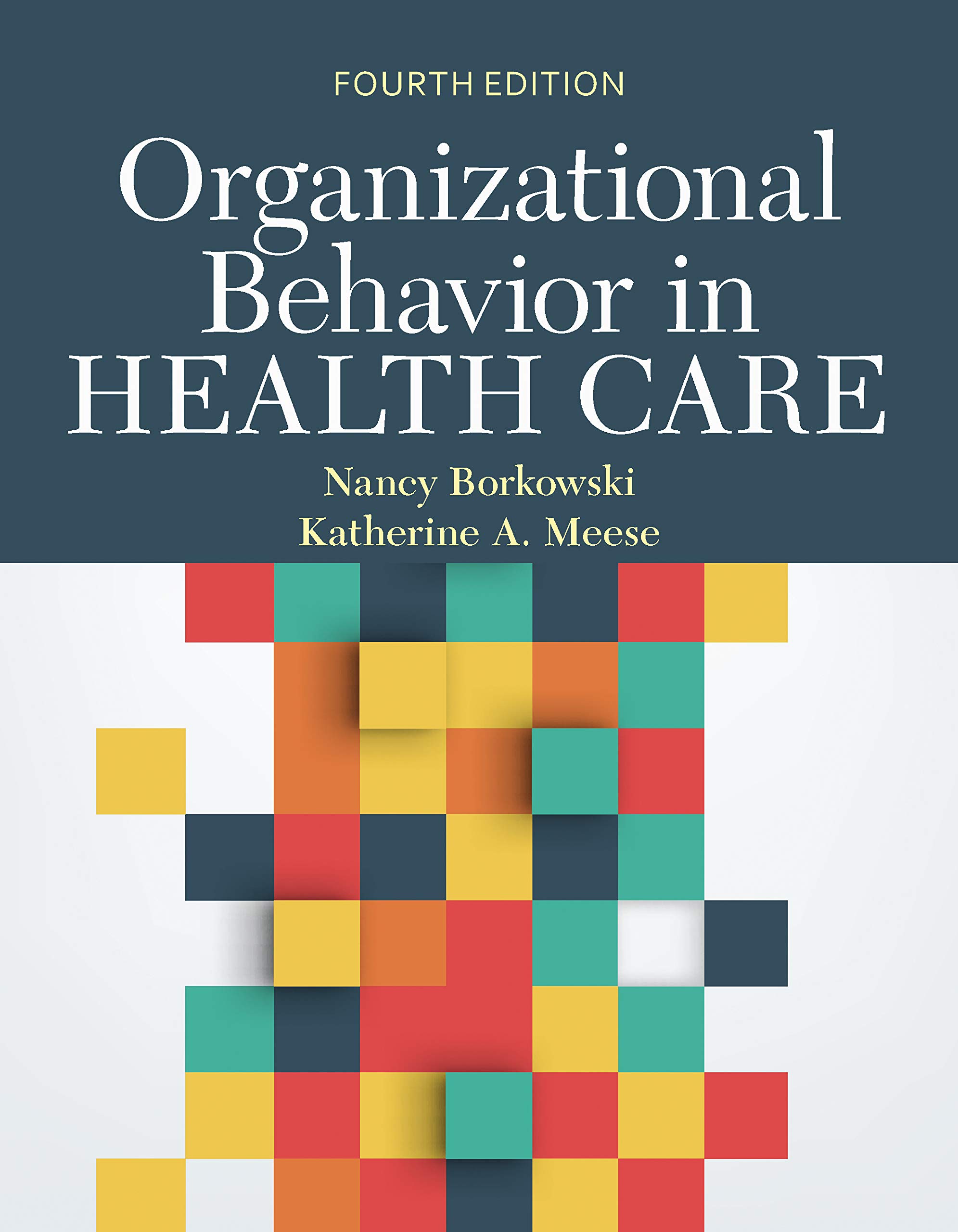 Organizational Behavior in Health Care 4th Edition