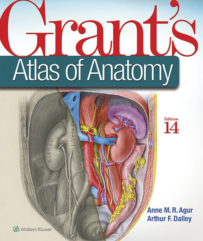 Grant's Atlas of Anatomy 14th 14E Anne Agur