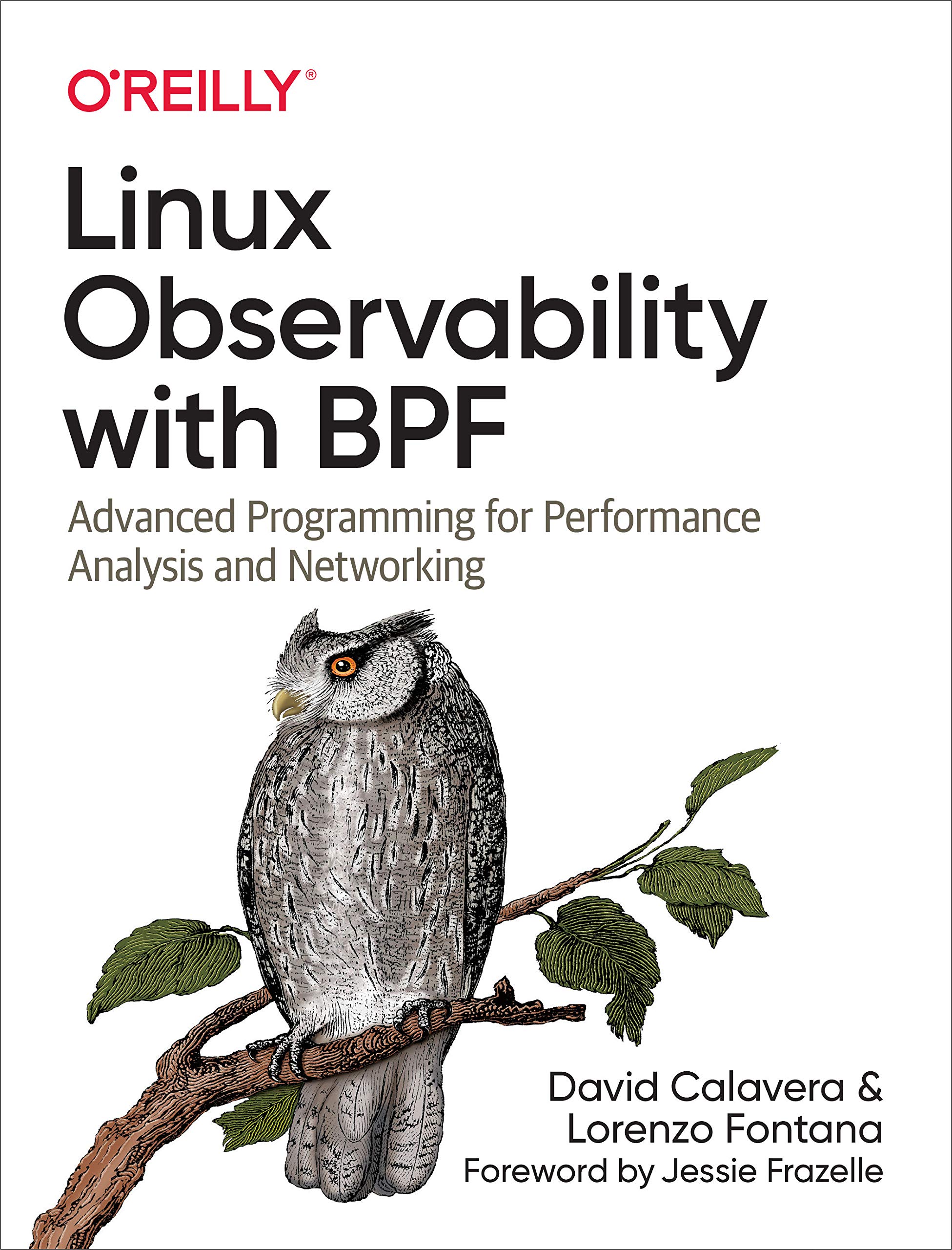 Linux Observability with BPF: Advanced Programming for Performance Analysis and Networking 1st Edition