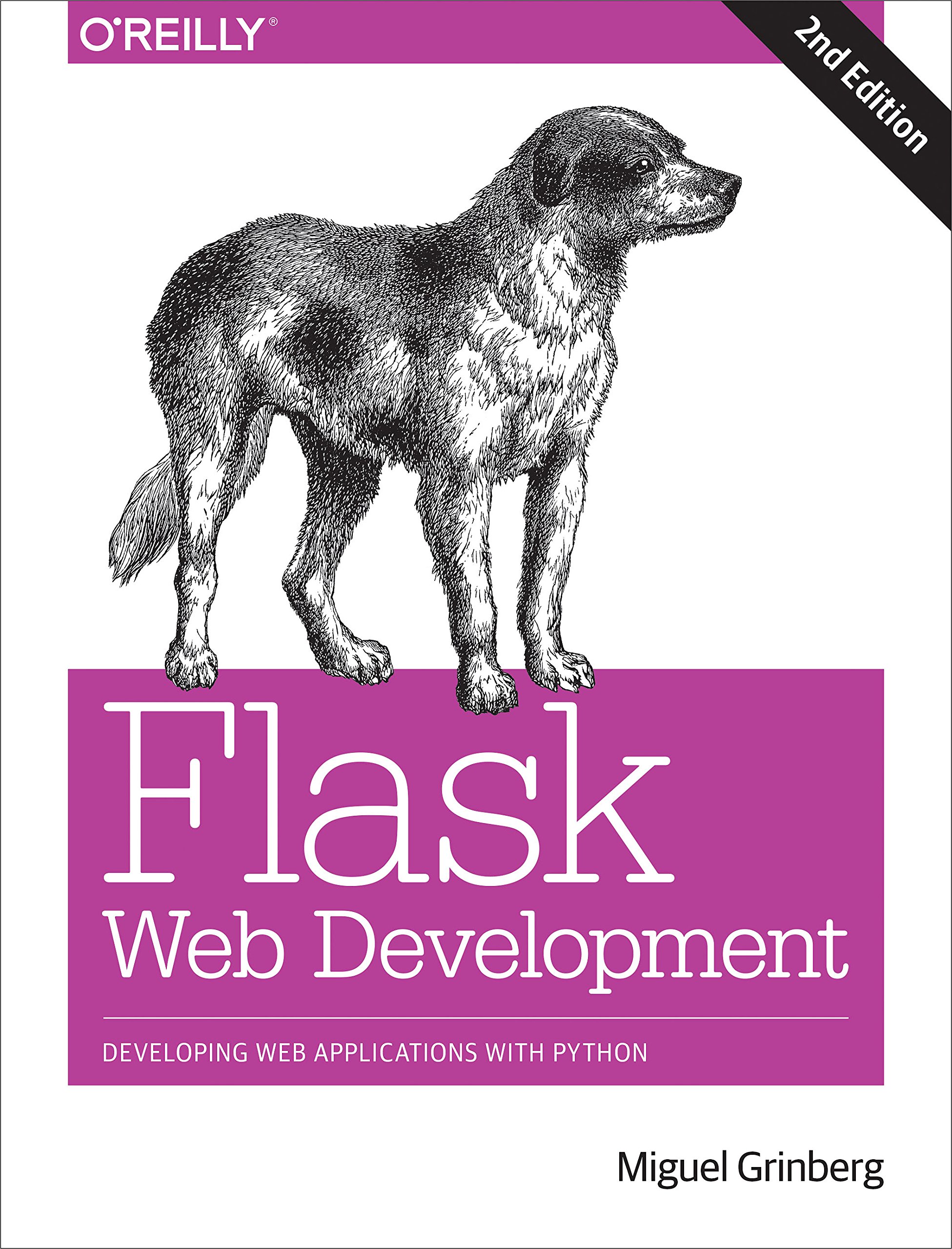 Flask Web Development: Developing Web Applications with Python 2nd Edition
