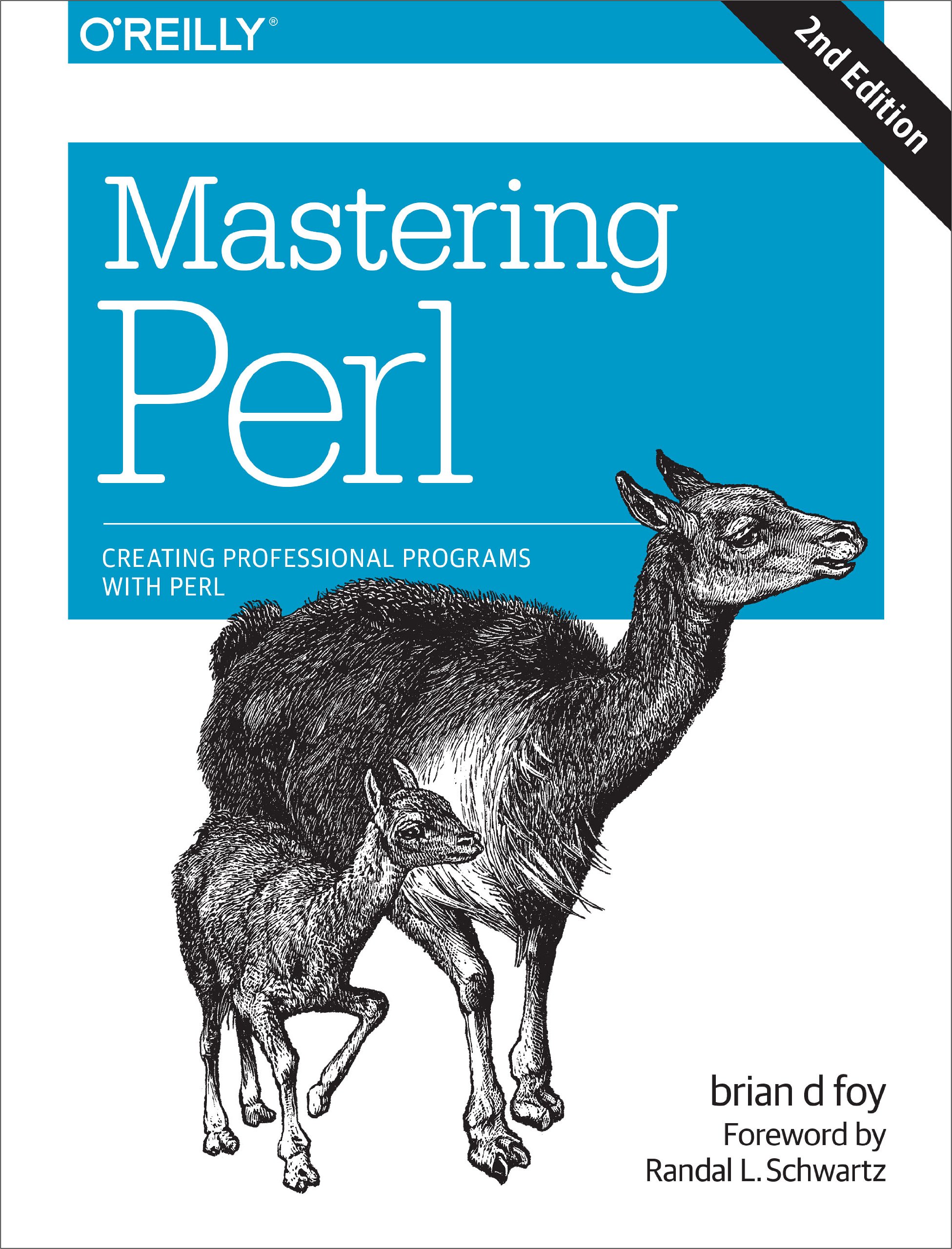 Mastering Perl: Creating Professional Programs with Perl 2nd Edition