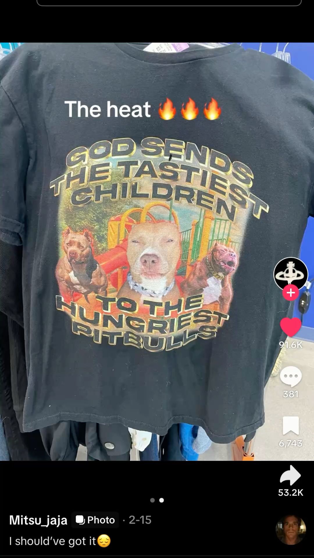 Funny Pitbull Meme T-Shirt - "God Sends The Tastiest Children" Dark Humor Graphic Tee - - More Option - Outfits For US