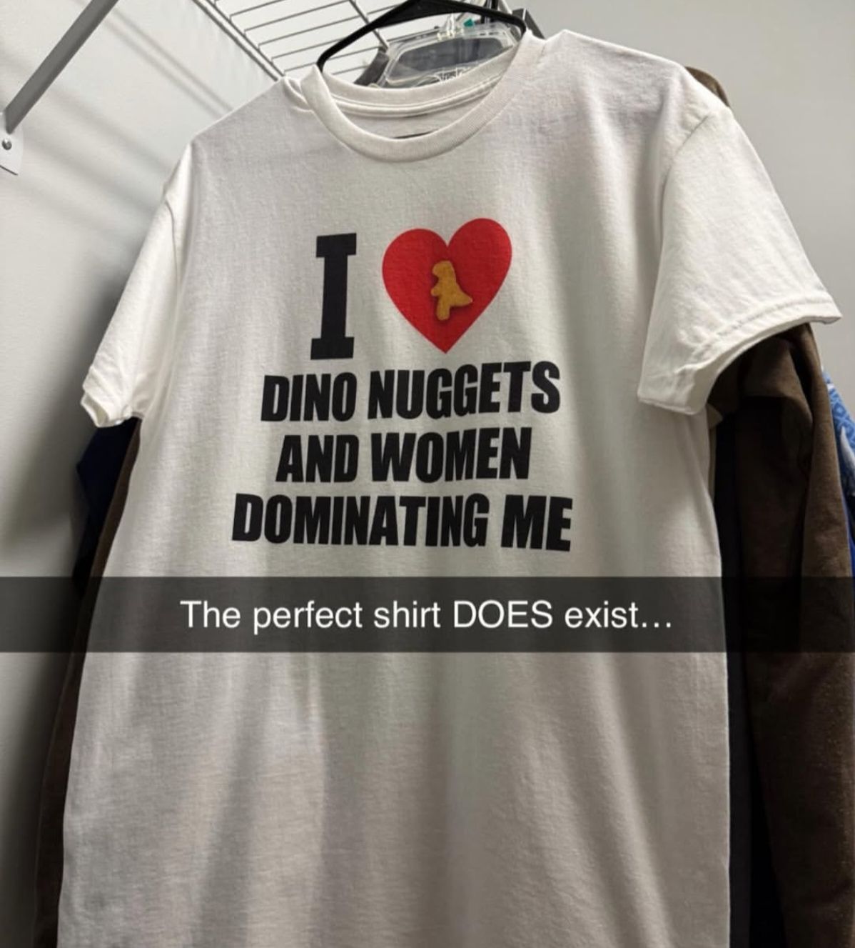 "I Heart Dino Nuggets And Women Dominating Me" Funny Graphic Tee, Ironic Femdom Meme T-Shirt, Edgy Sarcastic Text Shirt, Gen Z Aesthetic Streetwear - - More Option - Outfits For US